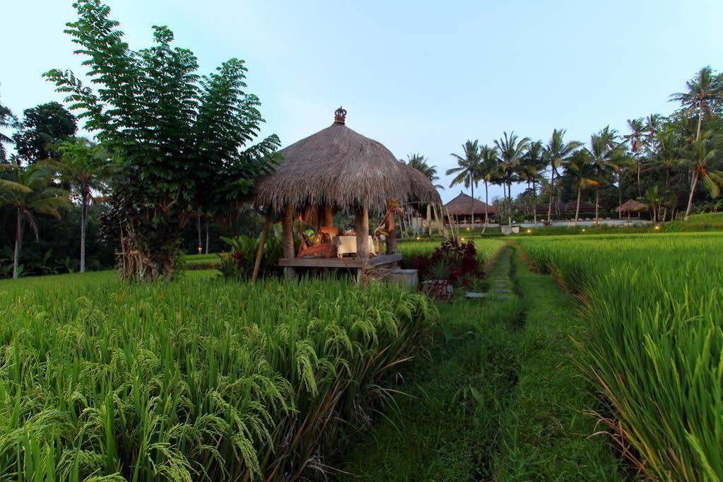 Kencana Ubud By Mahaputra Exteriér fotografie